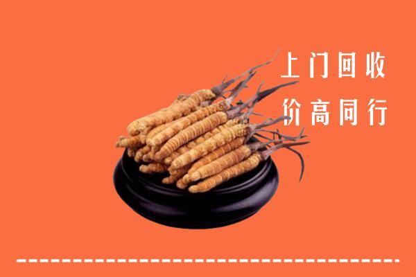高价求购：西宁市城西回收散虫草